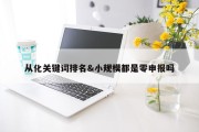 从化关键词排名&amp;小规模都是零申报吗