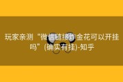 玩家亲测“微信链接炸金花可以开挂吗”(确实有挂)-知乎
