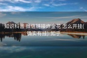  知识科普 微信链接炸金花 怎么开挂(确实有挂)-知乎