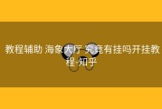  教程辅助 海象大厅 究竟有挂吗开挂教程-知乎