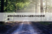 泌阳SEM优化&amp;2021泌阳150亿的项目