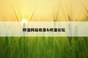 梓潼网站收录&amp;梓潼论坛