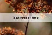 思茅SEM优化&amp;云南思茅