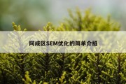 阿成区SEM优化的简单介绍