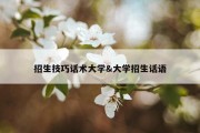 招生技巧话术大学&amp;大学招生话语