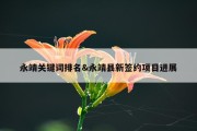 永靖关键词排名&amp;永靖县新签约项目进展