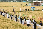 年轻人别错过！田间招聘会，边听歌边找工作