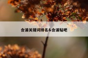 合浦关键词排名&amp;合浦贴吧