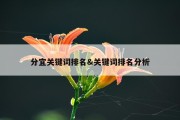 分宜关键词排名&amp;关键词排名分析