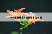 net招聘话术&amp;招聘话术怎么说