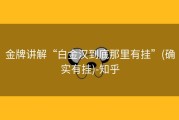 金牌讲解“白金汉到底那里有挂”(确实有挂)-知乎