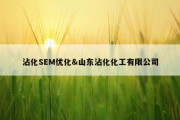 沾化SEM优化&amp;山东沾化化工有限公司