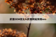 武强SEM优化&amp;武强网站快排seo