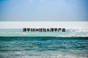 漳平SEM优化&amp;漳平产业