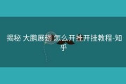  揭秘 大鹏展翅 怎么开挂开挂教程-知乎