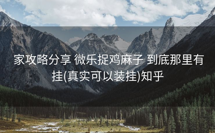 家攻略分享 微乐捉鸡麻子 到底那里有挂(真实可以装挂)知乎 家攻略分享 微乐捉鸡麻子 到底那里有挂(真实可以装挂)知乎