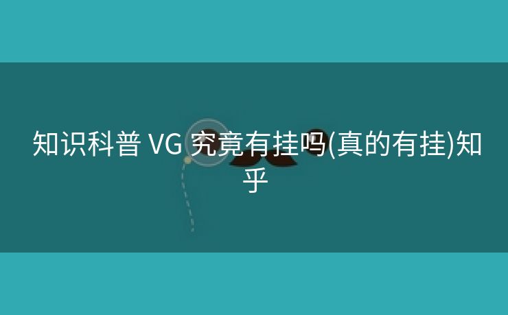  知识科普 VG 究竟有挂吗(真的有挂)知乎