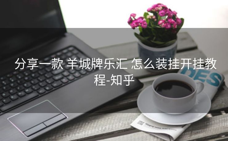  分享一款 羊城牌乐汇 怎么装挂开挂教程-知乎