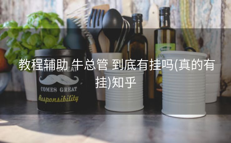  教程辅助 牛总管 到底有挂吗(真的有挂)知乎