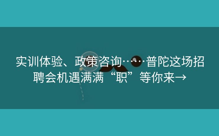 实训体验、政策咨询……普陀这场招聘会机遇满满“职”等你来→