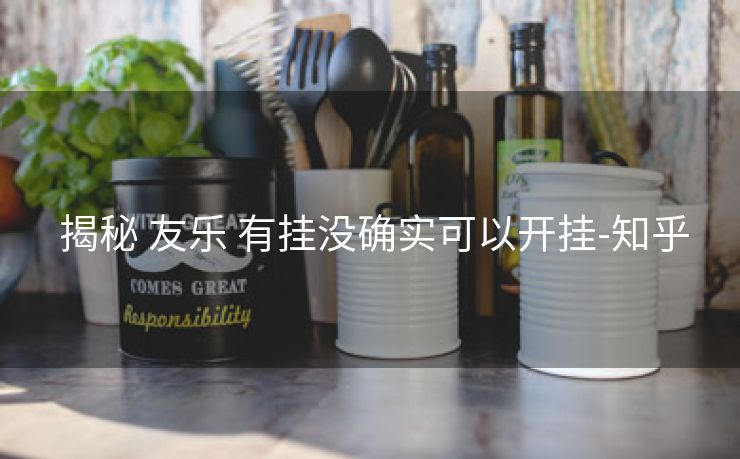  揭秘 友乐 有挂没确实可以开挂-知乎