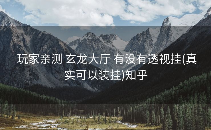  玩家亲测 玄龙大厅 有没有透视挂(真实可以装挂)知乎