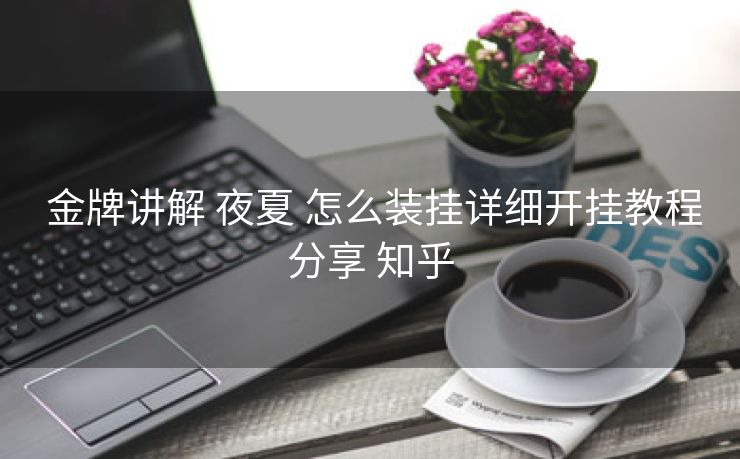  金牌讲解 夜夏 怎么装挂详细开挂教程分享 知乎