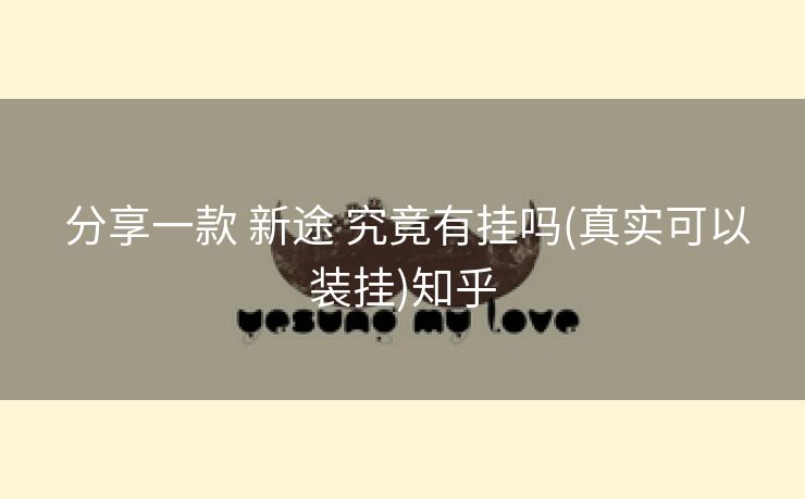  分享一款 新途 究竟有挂吗(真实可以装挂)知乎