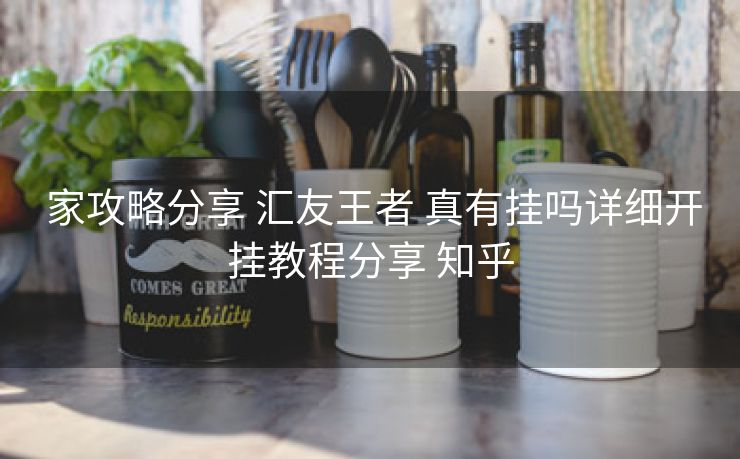 家攻略分享 汇友王者 真有挂吗详细开挂教程分享 知乎 家攻略分享 汇友王者 真有挂吗详细开挂教程分享 知乎