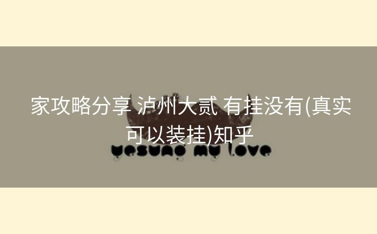 家攻略分享 泸州大贰 有挂没有(真实可以装挂)知乎 家攻略分享 泸州大贰 有挂没有(真实可以装挂)知乎