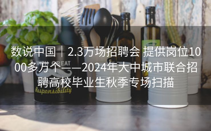 数说中国｜2.3万场招聘会 提供岗位1000多万个——2024年大中城市联合招聘高校毕业生秋季专场扫描