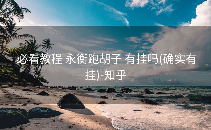  必看教程 永衡跑胡子 有挂吗(确实有挂)-知乎