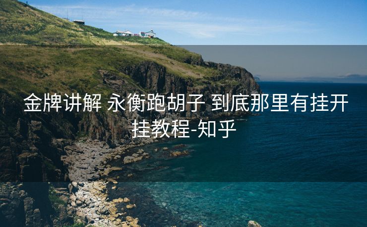  金牌讲解 永衡跑胡子 到底那里有挂开挂教程-知乎