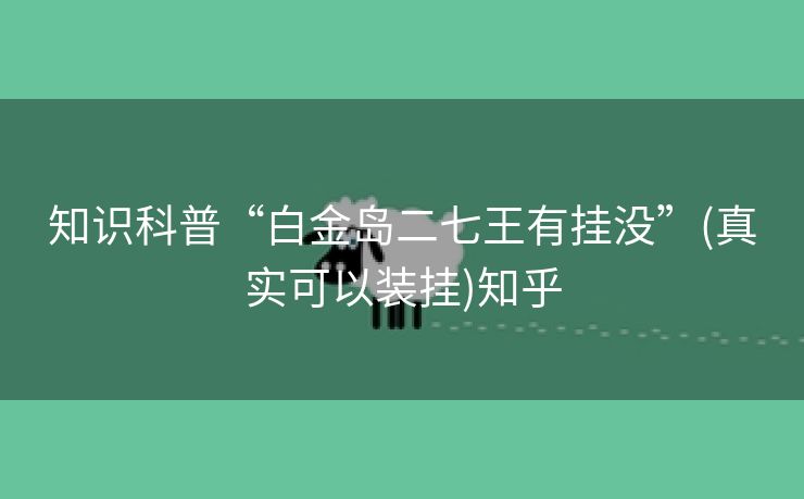 知识科普“白金岛二七王有挂没”(真实可以装挂)知乎 知识科普“白金岛二七王有挂没”(真实可以装挂)知乎