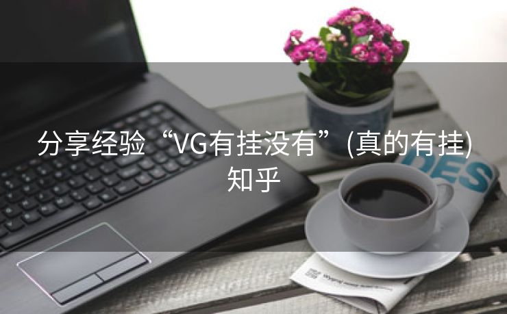 分享经验“VG有挂没有”(真的有挂)知乎