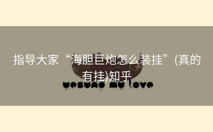 指导大家“海胆巨炮怎么装挂”(真的有挂)知乎 指导大家“海胆巨炮怎么装挂”(真的有挂)知乎
