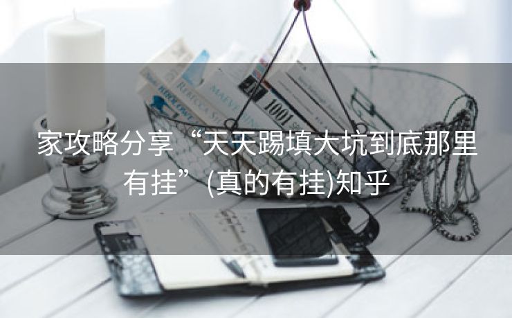 家攻略分享“天天踢填大坑到底那里有挂”(真的有挂)知乎 家攻略分享“天天踢填大坑到底那里有挂”(真的有挂)知乎