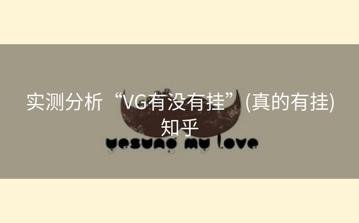 实测分析“VG有没有挂”(真的有挂)知乎 实测分析“VG有没有挂”(真的有挂)知乎