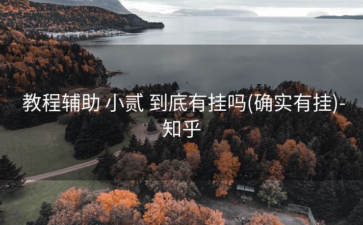  教程辅助 小贰 到底有挂吗(确实有挂)-知乎