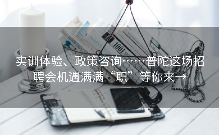 实训体验、政策咨询……普陀这场招聘会机遇满满“职”等你来→