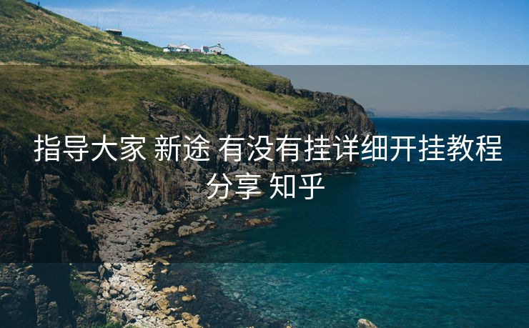  指导大家 新途 有没有挂详细开挂教程分享 知乎