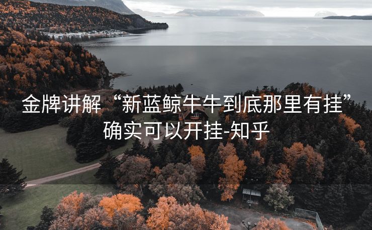 金牌讲解“新蓝鲸牛牛到底那里有挂”确实可以开挂-知乎 金牌讲解“新蓝鲸牛牛到底那里有挂”确实可以开挂-知乎
