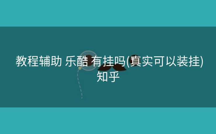  教程辅助 乐酷 有挂吗(真实可以装挂)知乎