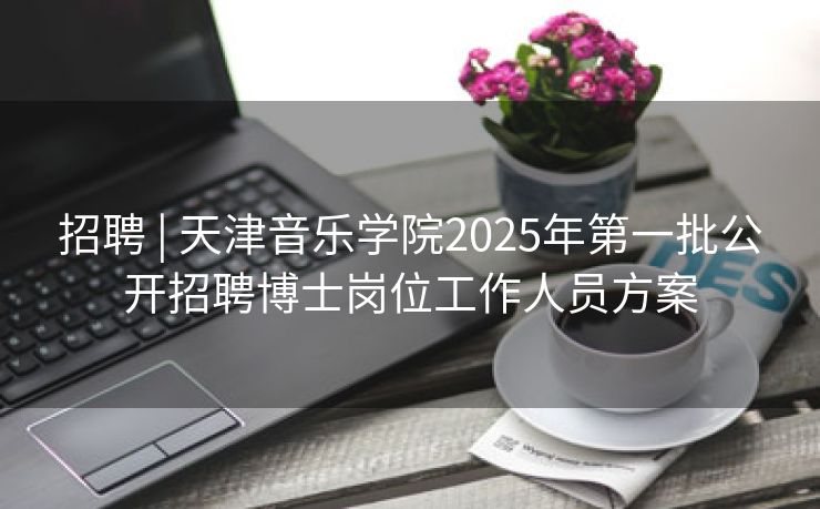 招聘 | 天津音乐学院2025年第一批公开招聘博士岗位工作人员方案