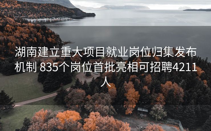 湖南建立重大项目就业岗位归集发布机制 835个岗位首批亮相可招聘4211人