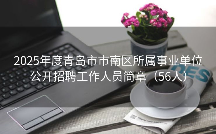 2025年度青岛市市南区所属事业单位公开招聘工作人员简章（56人）