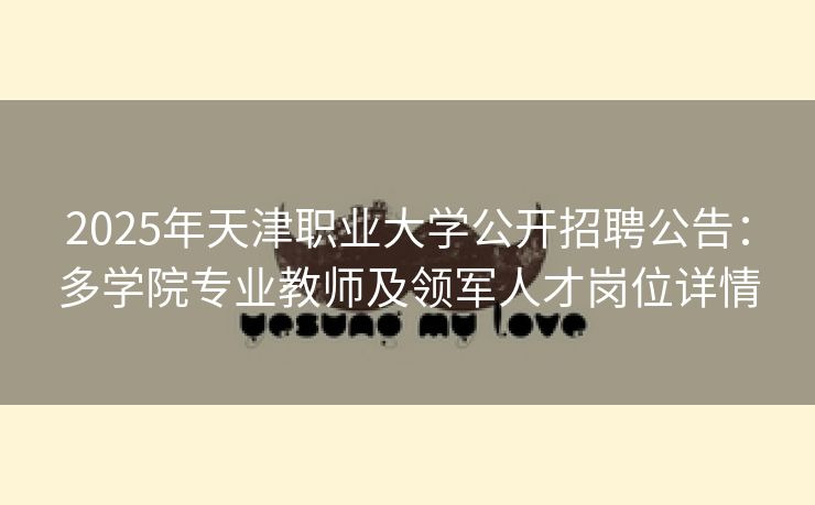 2025年天津职业大学公开招聘公告：多学院专业教师及领军人才岗位详情