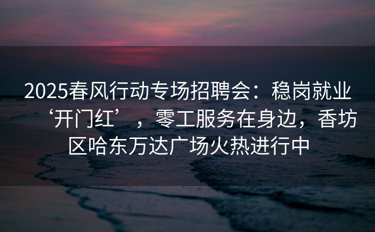 2025春风行动专场招聘会：稳岗就业‘开门红’，零工服务在身边，香坊区哈东万达广场火热进行中