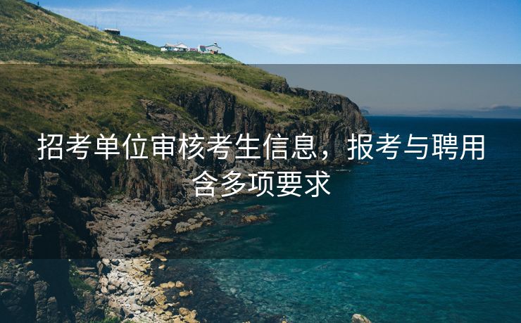 招考单位审核考生信息，报考与聘用含多项要求