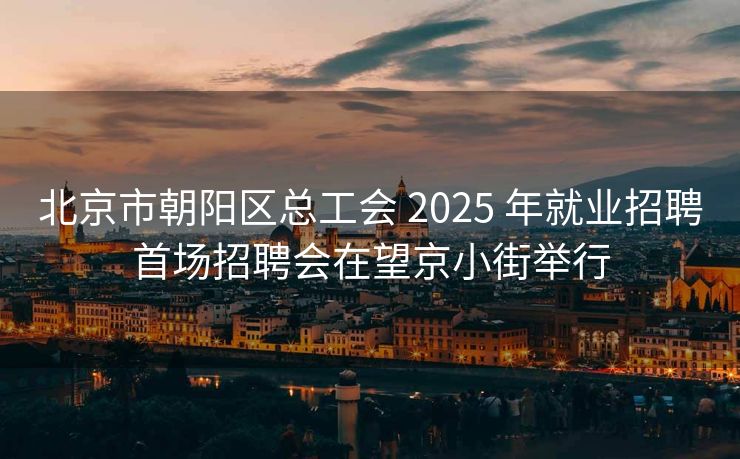 北京市朝阳区总工会 2025 年就业招聘首场招聘会在望京小街举行 北京市朝阳区总工会 2025 年就业招聘首场招聘会在望京小街举行